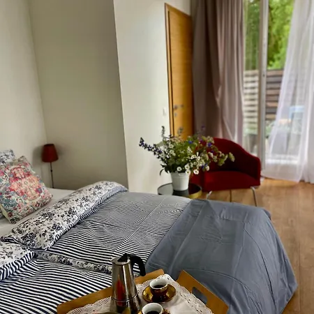 Surf House Dreamers Coast Bed & Breakfast *
