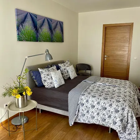Surf House Dreamers Coast *