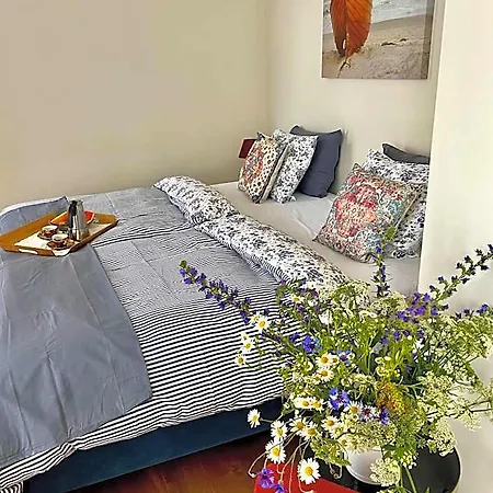 Bed & Breakfast Surf House Dreamers Coast