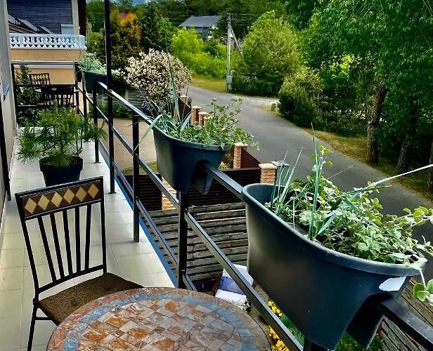 Surf House Dreamers Coast Κλαϊπέντα