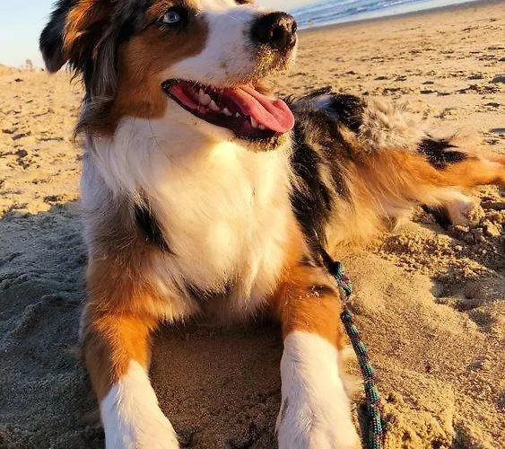 Surf House Dreamers Coast Κλαϊπέντα