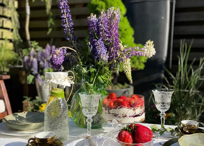 Surf House Dreamers Coast 3* Κλαϊπέντα