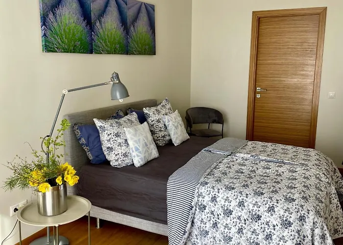 Surf House Dreamers Coast 3*