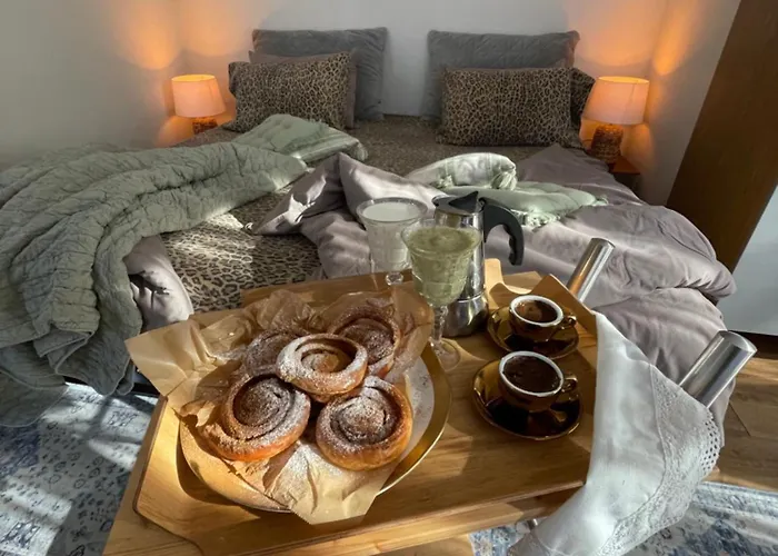 Surf House Dreamers Coast